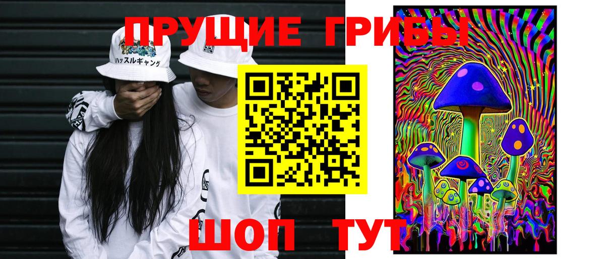 Псилоцибиновые грибы GOLDEN TEACHER  купить закладку  Железногорск  Вход с VPN 